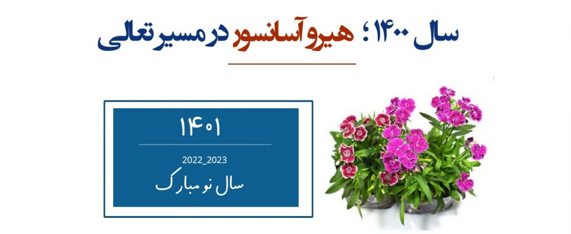 سال ۱۴۰۰ ؛ هیرو آسانسور در مسیر تعالی