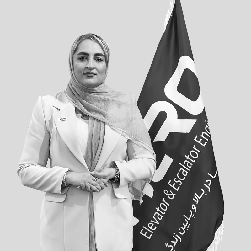 خانم مهندس موسوی خانم-مهندس-موسوی